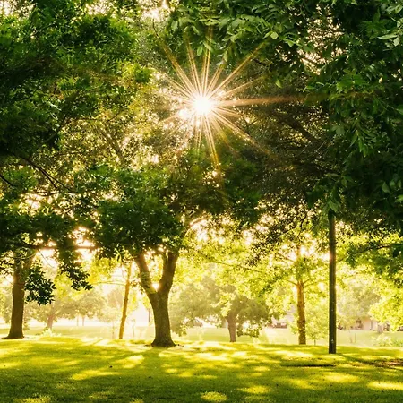 Garner - Messe By Ihg