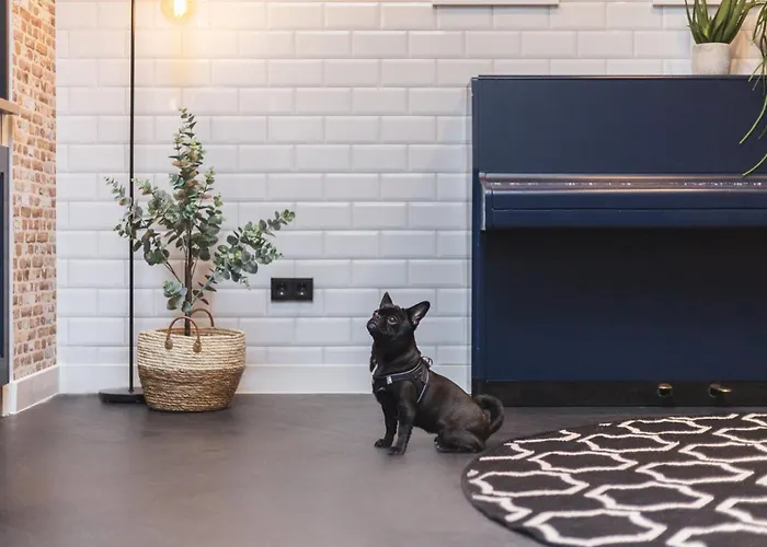 Garner - Messe By Ihg