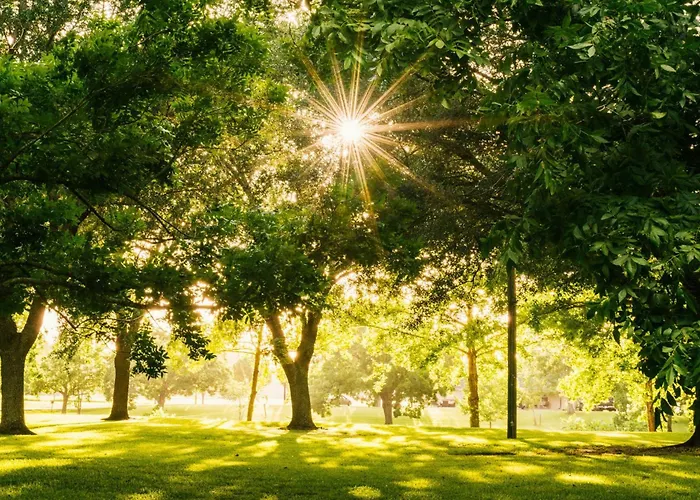 Garner - Messe By Ihg